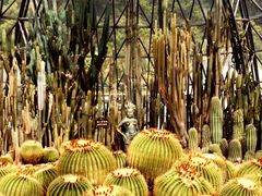 -深圳仙湖植物园