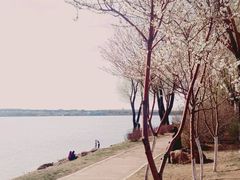 -丁香湖公园