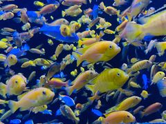 -成都浩海立方海洋公园