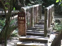 -呀诺达热带雨林