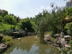-河源客天下-温泉小镇