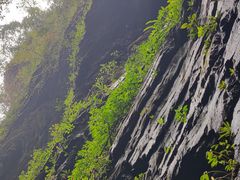 -龙水峡地缝景区