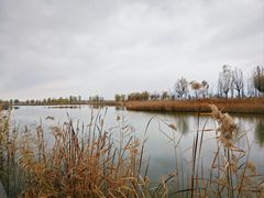 -野鸭湖国家湿地公园