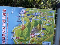 -西霞口神雕山野生动物世界