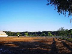 -月河湾马术俱乐部(朝阳店)