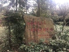 -邓小平故里