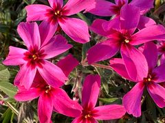 -洋湖国家湿地公园