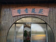 -上海都市菜园