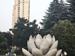 -木塔寺遗址生态公园