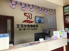 -艾贝尔宠物医院 ·内科全科(梁溪路店)