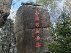 -汤旺河林海奇石景区