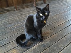 -MOKKA莫卡咖啡(大名路店)