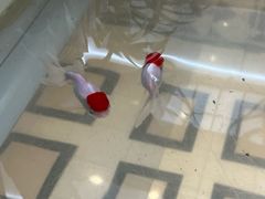 -慈铭体检(北京奥亚分院)