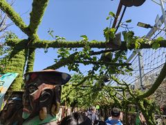 -呀路古热带植物园