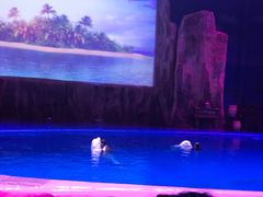 -华夏文旅海洋公园