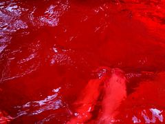 -春晖园度假酒店温泉