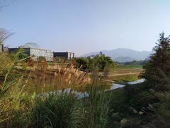 -聚龙山公园