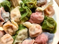 五彩饺子-宝源饺子(麦子店街店)