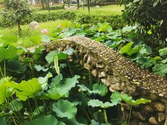 -长安上水缘度假庄园