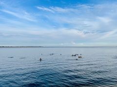 -金梦海湾浴场