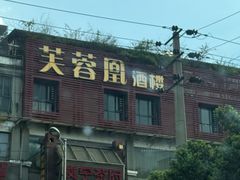 -芙蓉凰花园酒楼