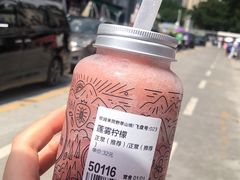 -野萃山·潮汕厚果汁(十亩地店)