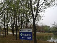 -东郊湿地公园