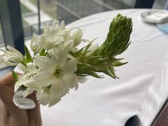 -北京厨房(西安SKP店)