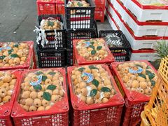 -西郊国际农产品交易中心