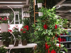 -宜家家居(哈尔滨商场店)