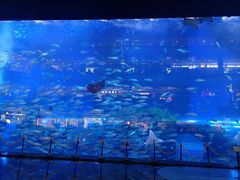 -成都浩海立方海洋公园