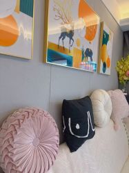 -哈颜科技轻美·