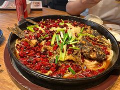 -老板恋上鱼(恒隆广场店)
