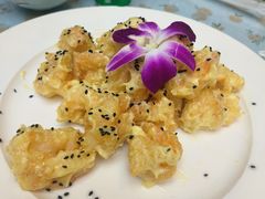 -京皇十二道天津菜(蒲黄榆店)