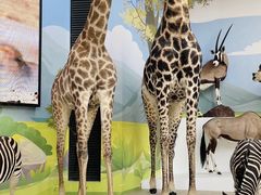 -陕西自然博物馆