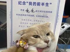 -芭比堂动物医院·心脏专科·夜诊·吉雅分院