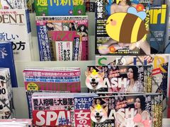 -秋叶原电器街
