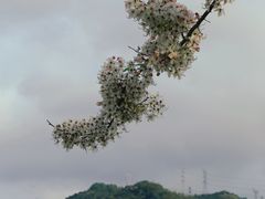 -白石龙音乐公园
