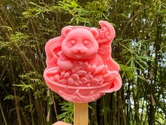 -成都大熊猫繁育研究基地