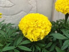 -迎泽公园