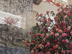 -西北轻工批发市场