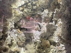 -湖南省地质博物馆