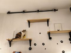 -隅cafe(傅厚岗店)