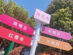 -高东镇樱花园