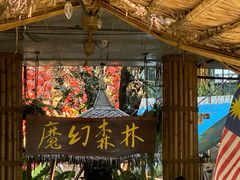 -The Ring Pavilion 魔幻森林