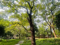 -徐家汇源景区-衡山公园