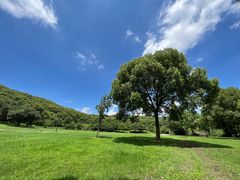 -苏州上方山国家森林公园