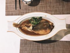浓香红烧河豚-肆月河豚·新淮扬(金融街店)