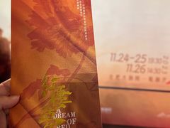 -合肥大剧院