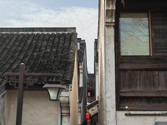 -鲁镇